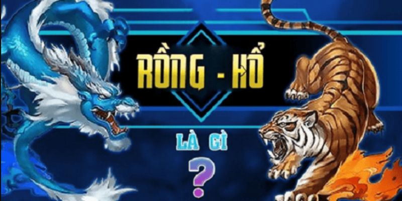Những điều cần biết trước khi bắt đầu trò chơi rồng hổ