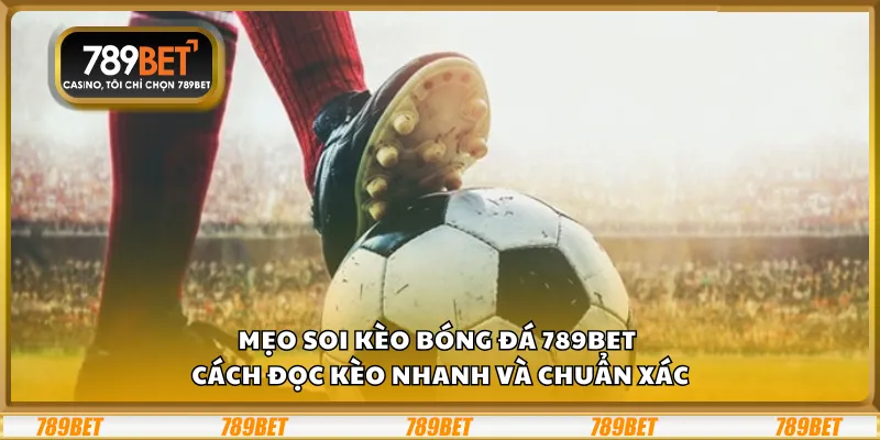 Mẹo soi cầu Xóc Đĩa New88 – Cách bắt cầu hiệu quả từ cao thủ
